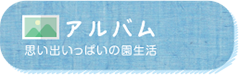 アルバム
